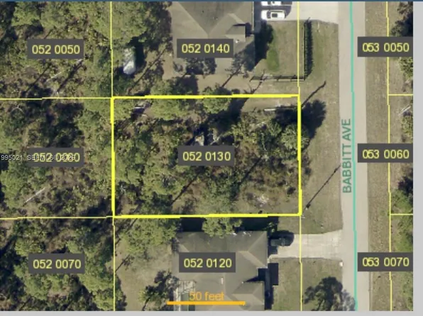 858 Babbitt Ave, Lehigh Acres, FL 33974