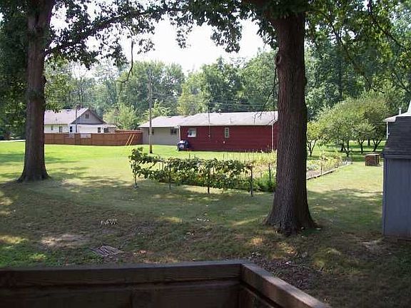 Fantastic back yard