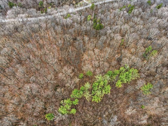 4th image of 34178 Kelly Rd