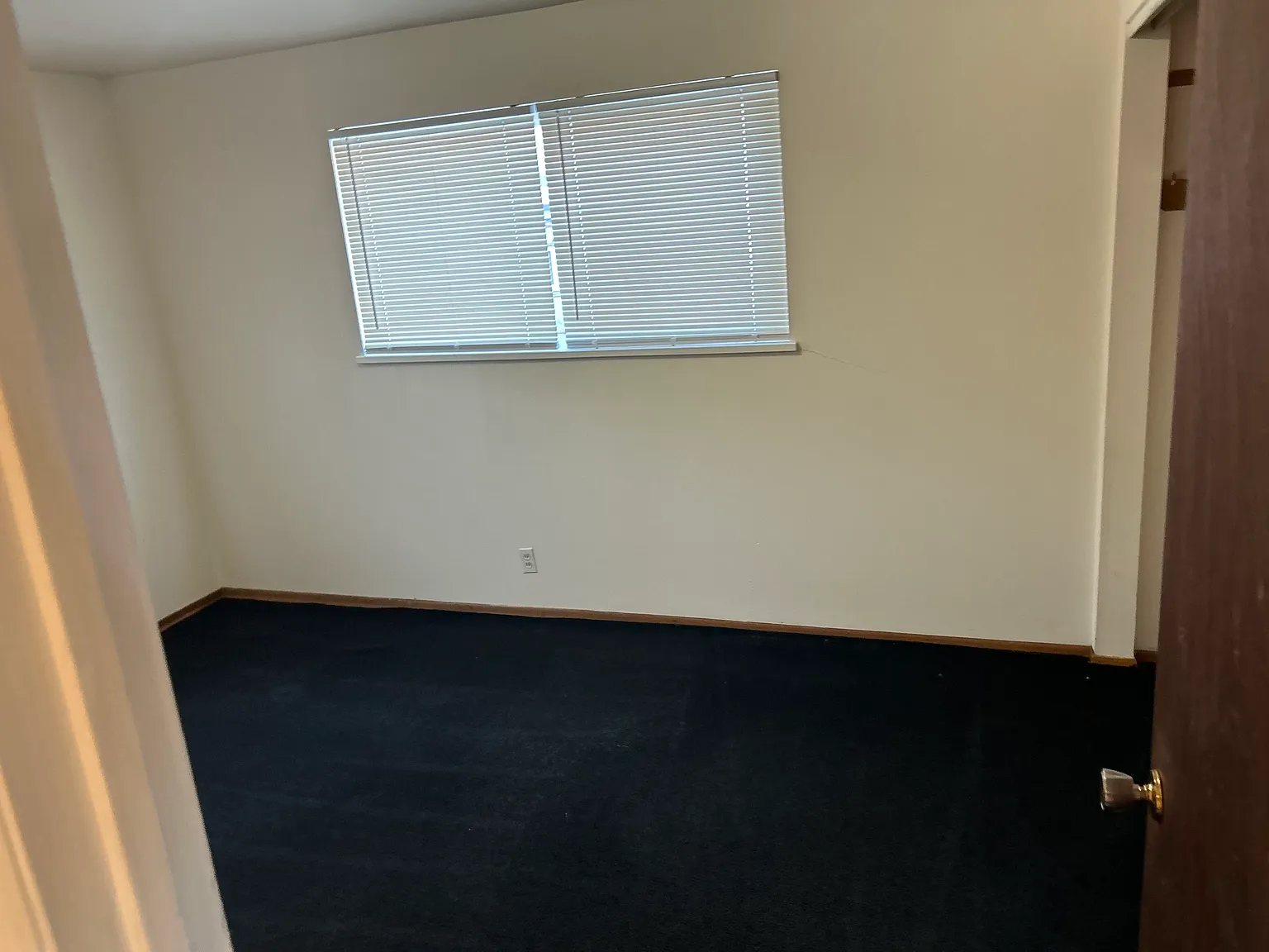1 bed, $650 — Photo 3