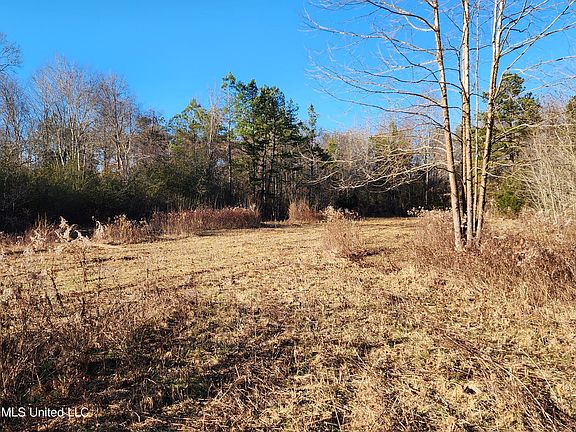 3rd image of 114/ACRE S Old Highway 7