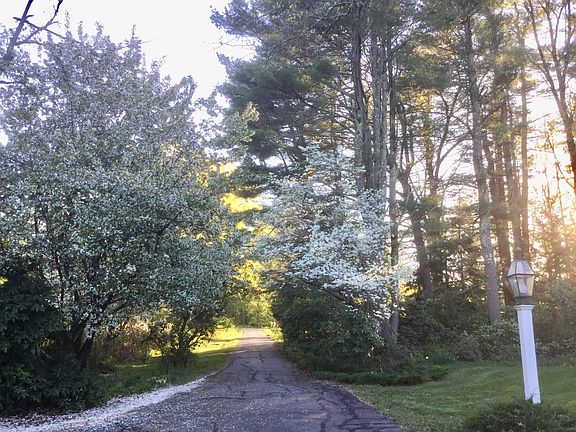 Private setting down long driveway.