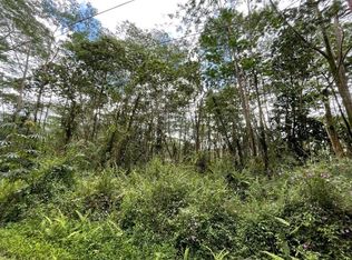 Paradise Cir LOT 105, Pahoa, HI 96778
