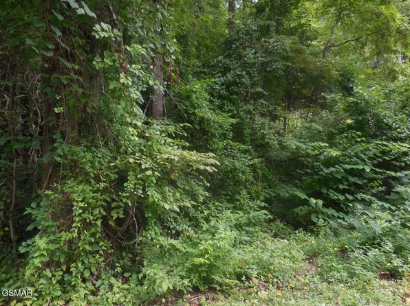 1 Hidden Valley Rd Lot 1, Gatlinburg, TN 37738
