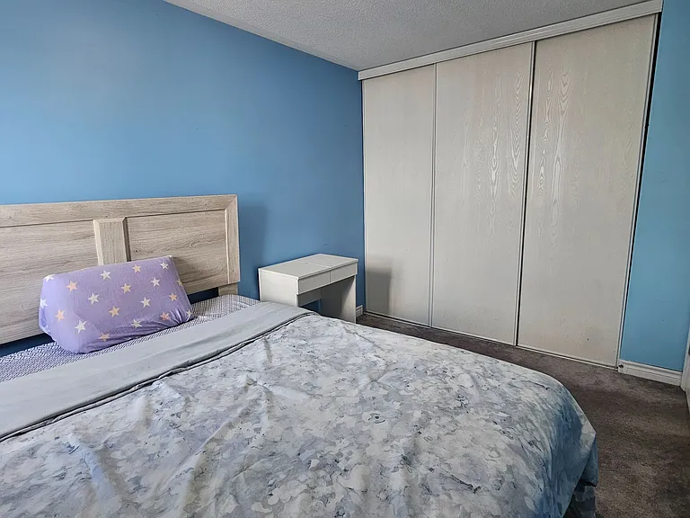 255 Catamount Ct — Photo 18