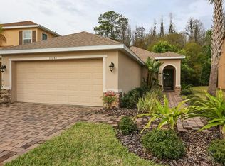 16042 Bella Woods Dr, Tampa, FL 33647
