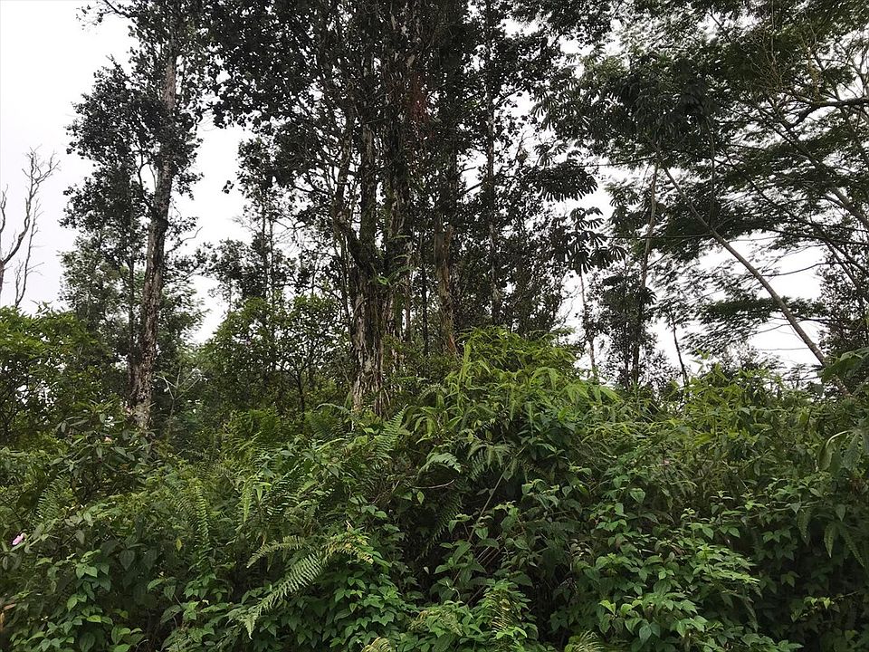 2nd image of Pikake Rd Lot 131