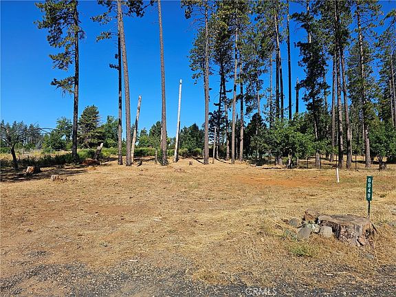 5th image of 6849 Clark Rd