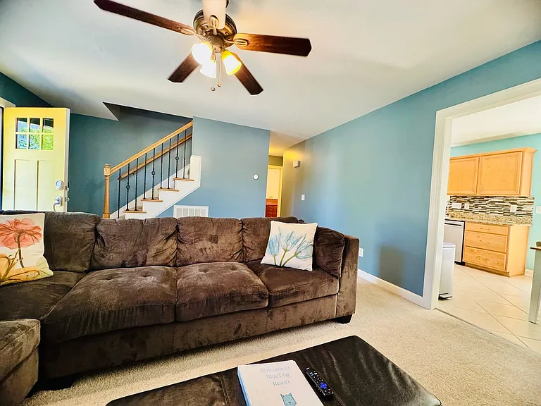 2576 Blue Dog Ct — Photo 8