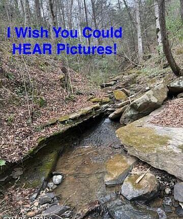 2nd image of 0 Hickory Creek Rd