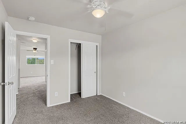 25513 Gold Yarrow — Photo 14