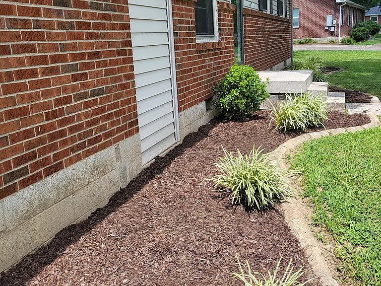 New landscaping at front