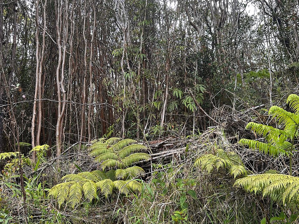 1st image of Road 5 Lot 248