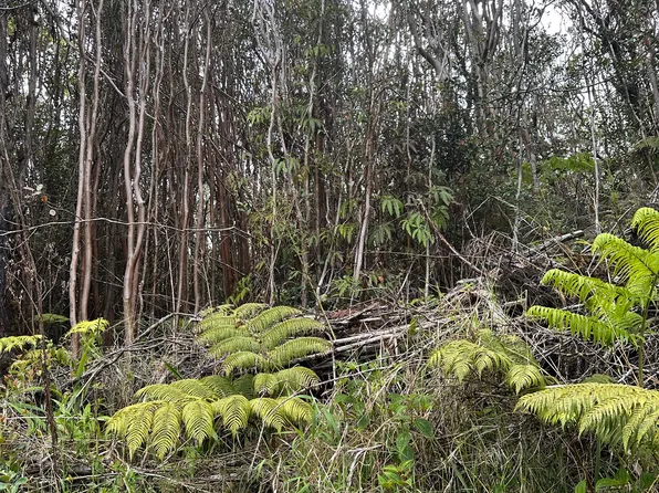Road 5 Lot 248, Mountain View, HI 96771