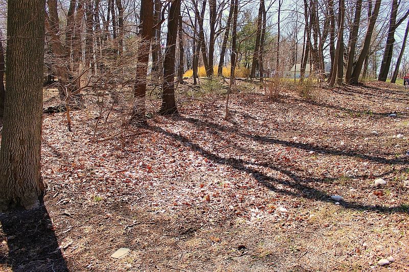 2nd image of 556 Glen Rd