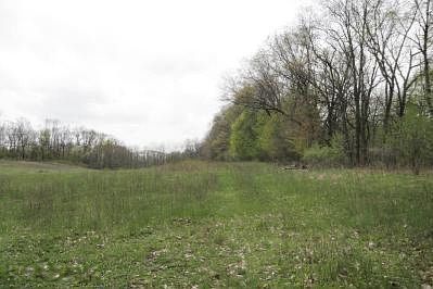 2nd image of Stevens Rd