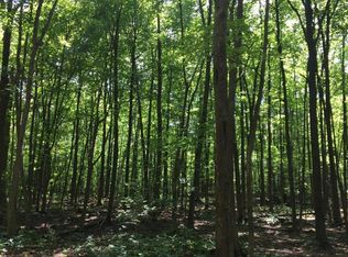 Beach Cove Rd, Warne, NC 28909