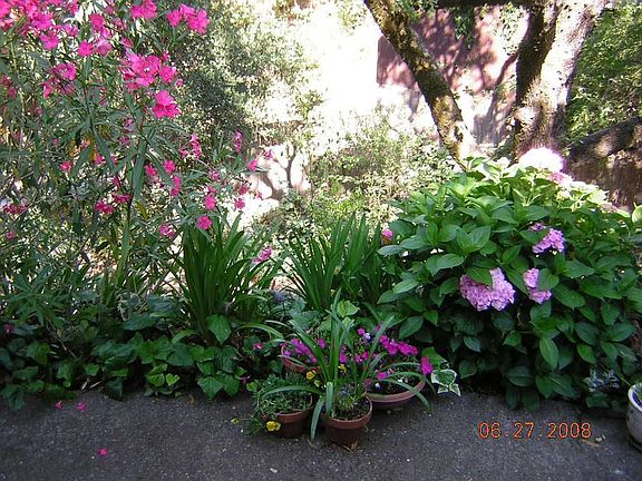 Beautiful Gardens
