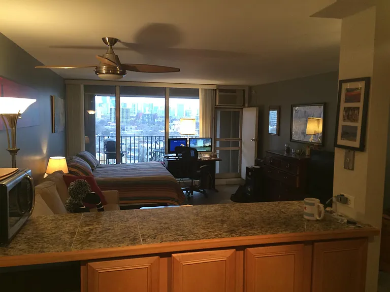1960 N Lincoln Park W #1105 — Photo 3