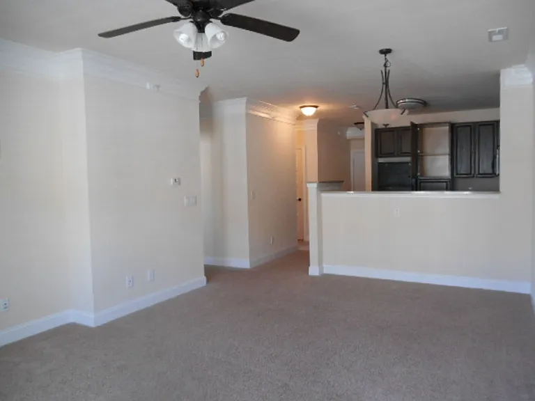 Briton Trace Apartments — Photo 94