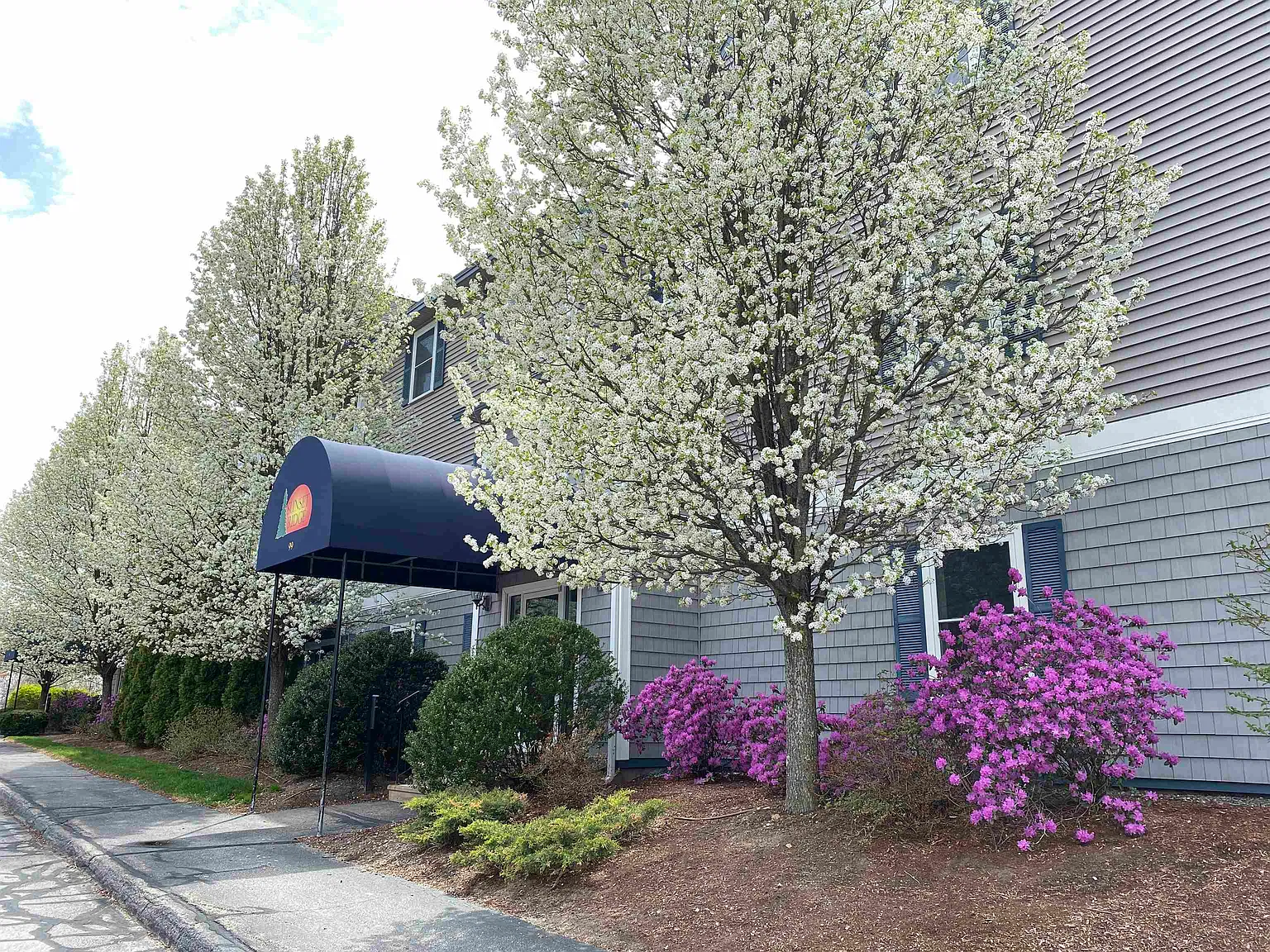 2 bed, 1.0 bath, 833 sqft, $1,925 — Photo 1