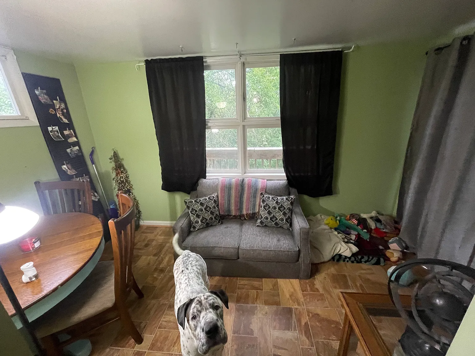 1 bed, 800 sqft, $750 — Photo 4
