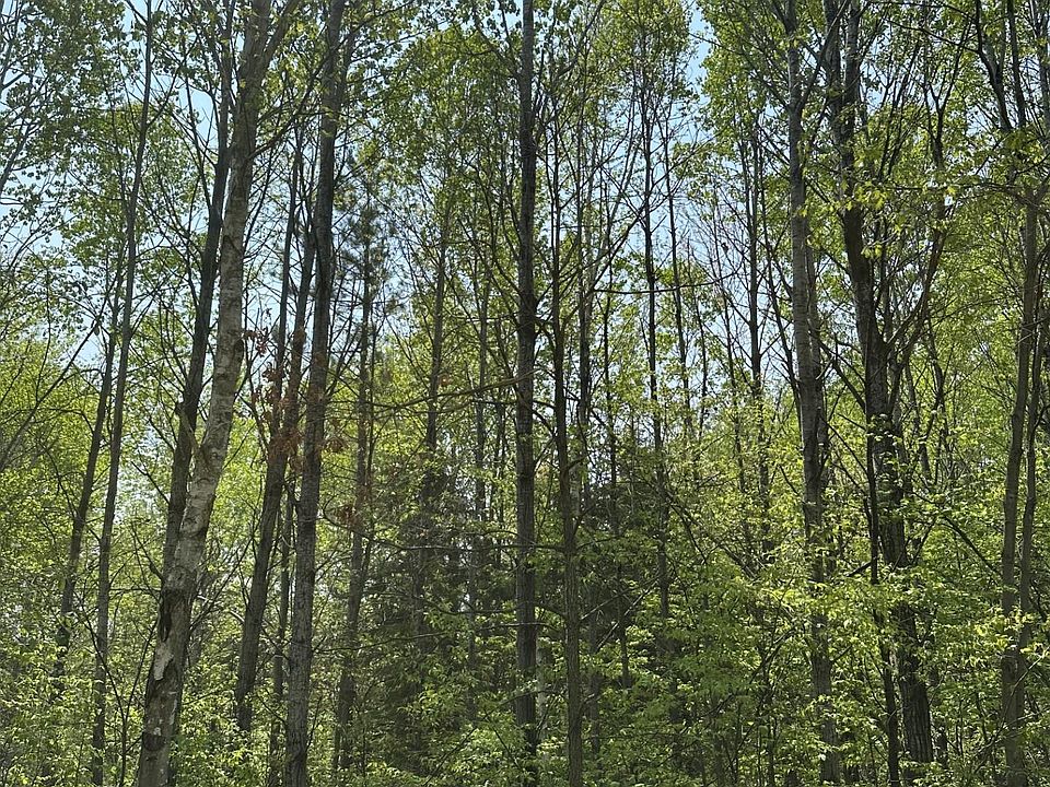 1st image of On Other