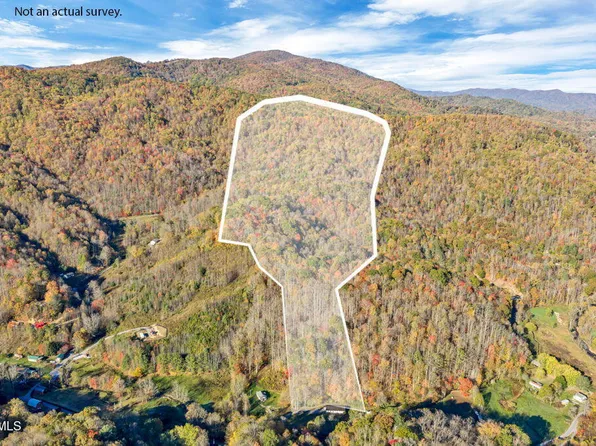 Tbd Hogum Hollow Rd, Roan Mountain, TN 37687