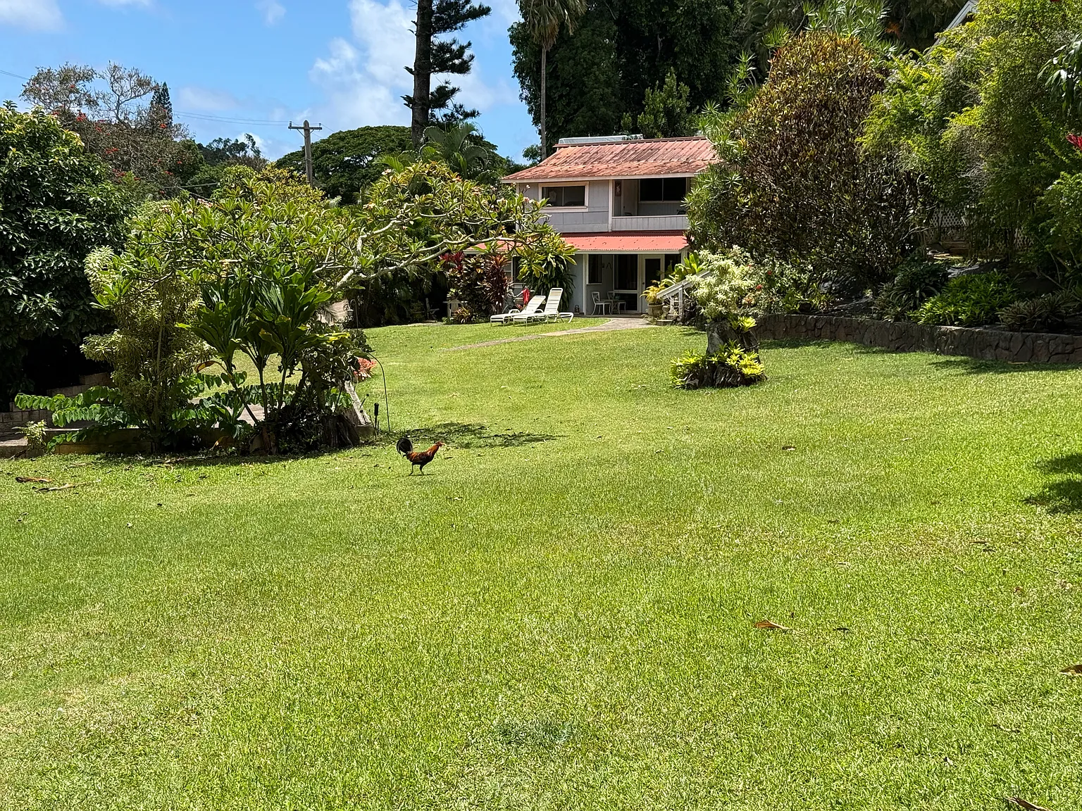 Kanaele Rd, Kapaa — Photo 4