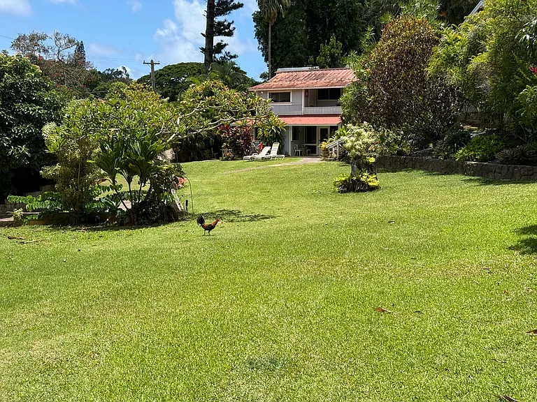 4388 Kanaele Rd #2 — Photo 2