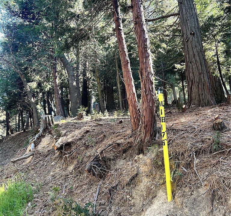 2nd image of 0 Forest View Arrowhead Lot 10