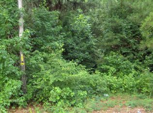 176 Old State Rd, Santee, SC 29142