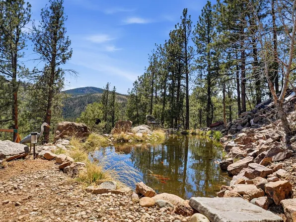 16687 Ouray Rd W, Pine, CO 80470