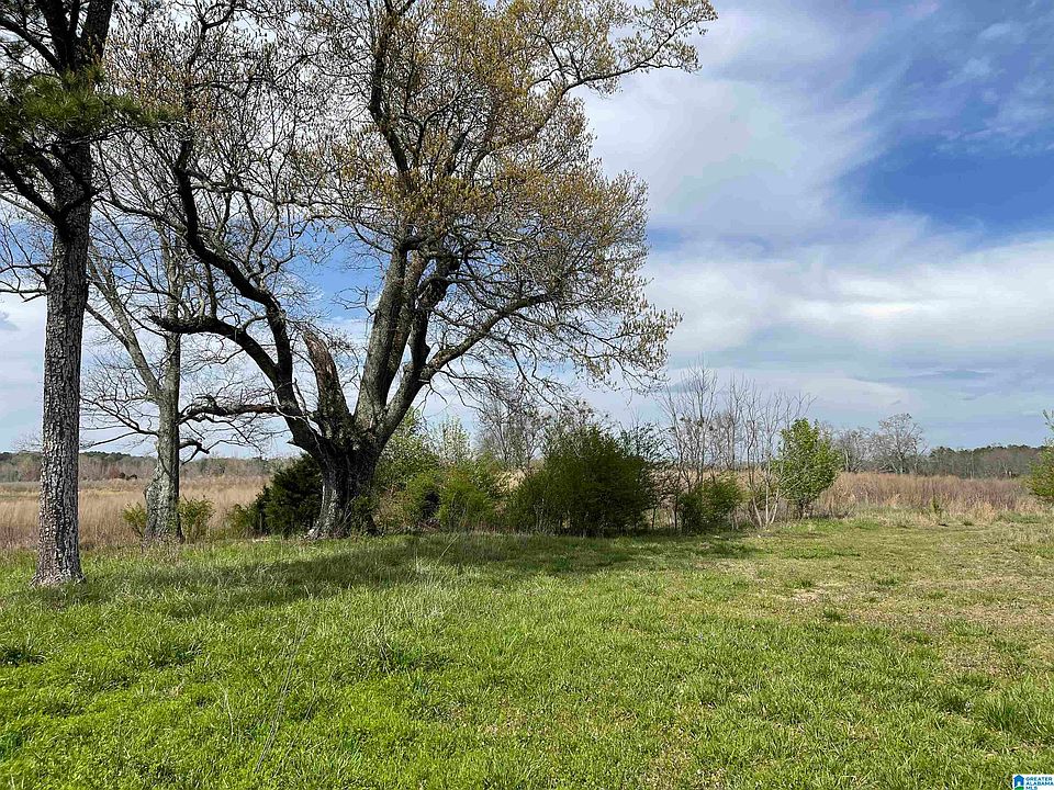 2nd image of 633-A County Rd #83-1