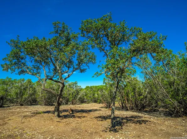 LOT 9 Gillespie Ridge, Harper, TX 78058