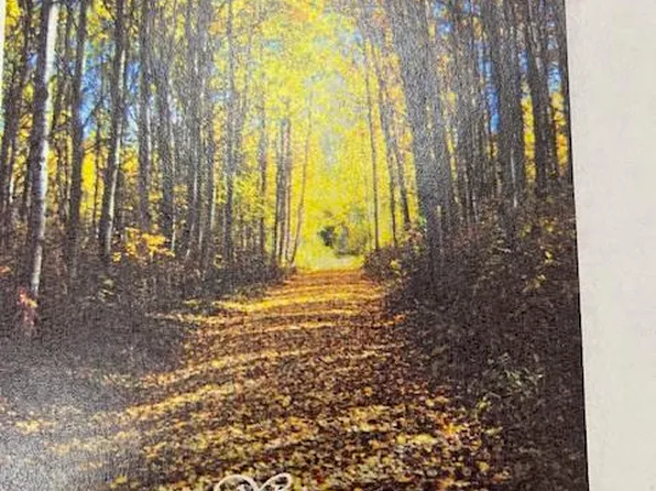 LOT 28 Misty River Trl, Windsor, SC 29856