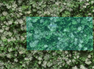 25-26-03-000000- Deen Still Rd #C-86, Polk City, FL 33868