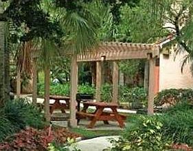 5th image of 3360 Pinewalk Dr N APT 1336