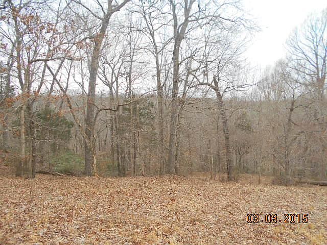 2nd image of 0 McElroy Rd