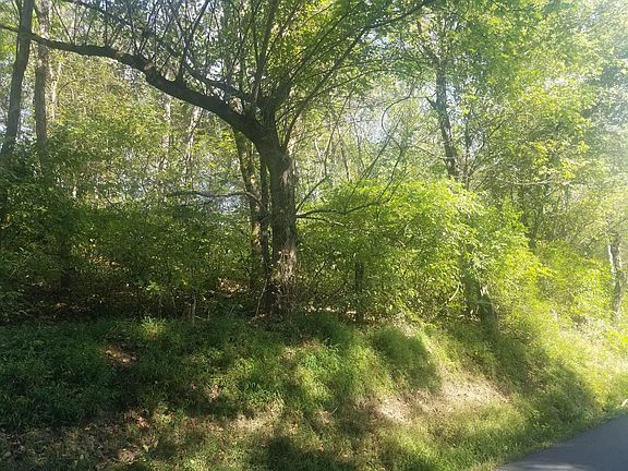 2nd image of 593 Seneker Ln