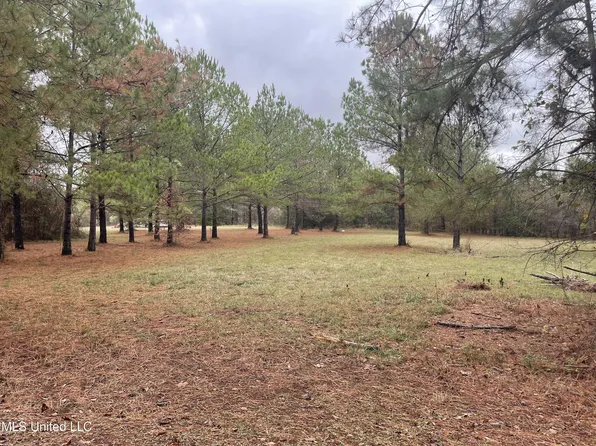 Haynes Chapel Rd, Pelahatchie, MS 39145