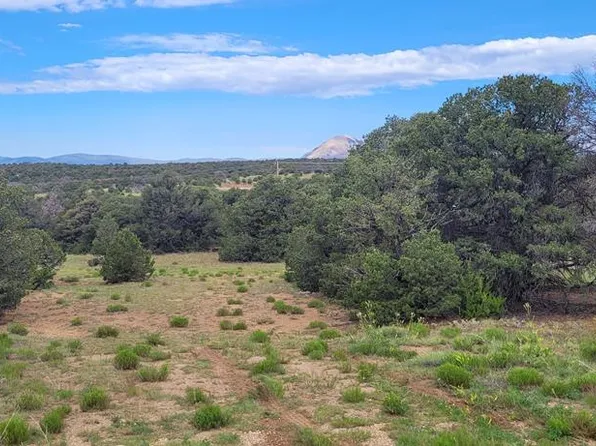 Buffalo Dr S, Walsenburg, CO 81089