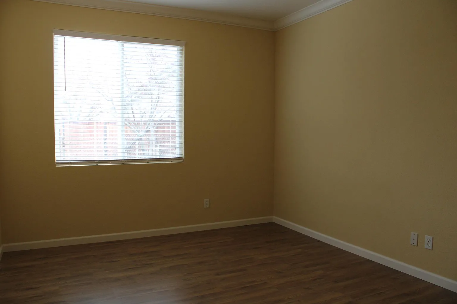 5021 Deerspring Way photo 1
