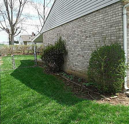 3rd image of 220 Zimmerman St