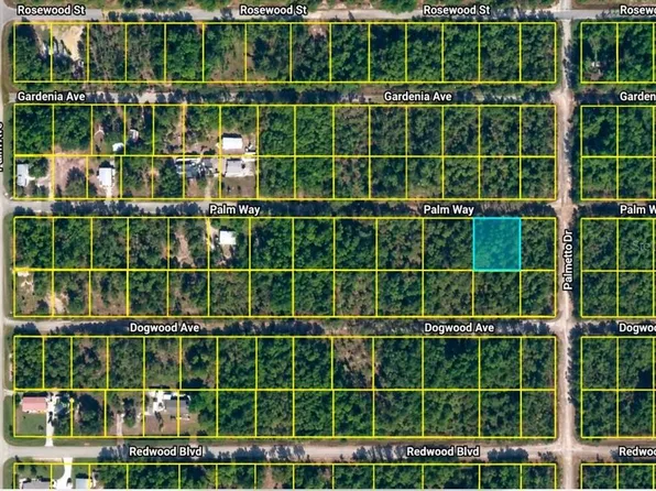 337 PALM WAY LOT 2, GEORGETOWN, FL 32139