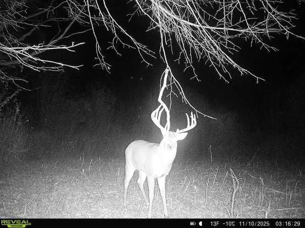 00 270th Avenue, Luck, WI 54853