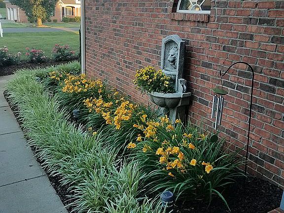 Outdoor Spaces - Front