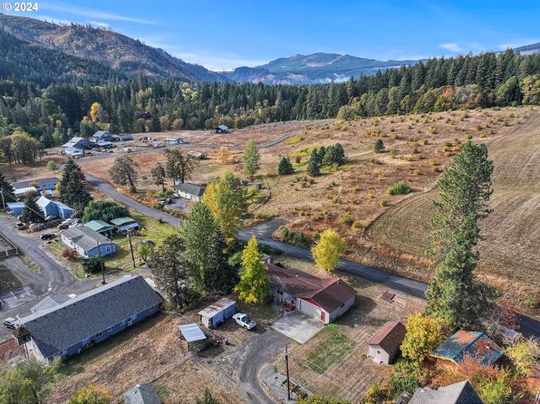 110 2nd St, Husum, WA 98623
