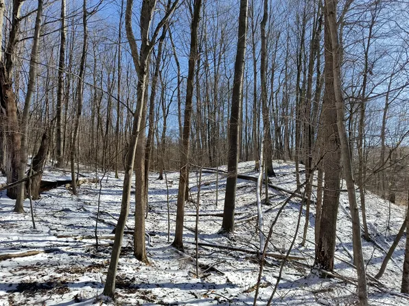 S Vacant Land 56th Ave, Shelby, MI 49455