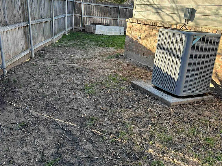 Back yard 2